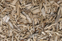 biomass boilers Row Ash